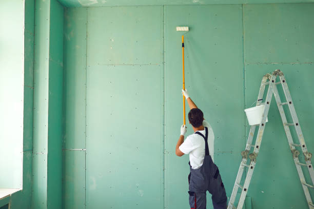 Best Mold Removal for HVAC Installations  in Chanute, KS