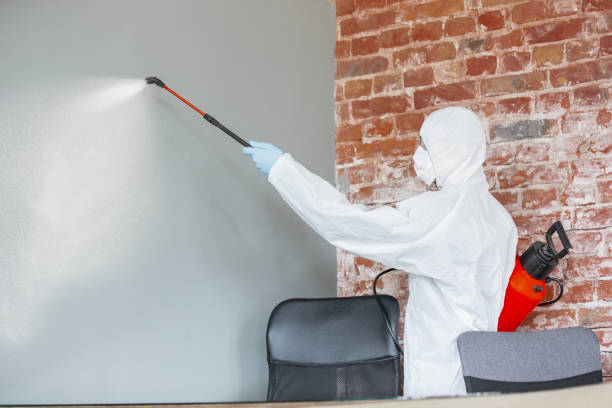Best Forensic Mold Investigation  in Chanute, KS