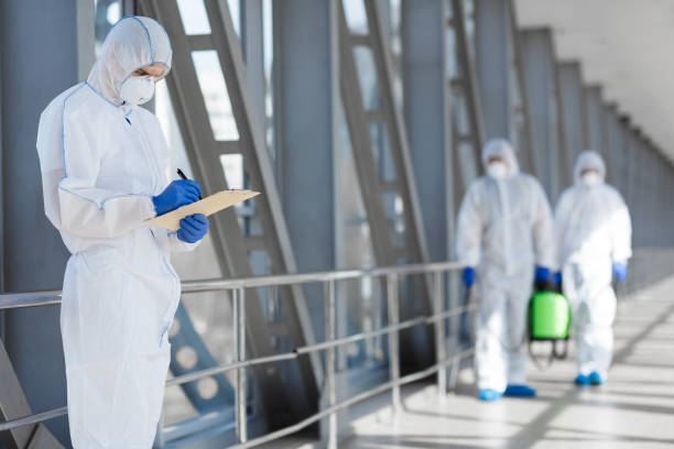 Professional Mold Removal in Chanute, KS