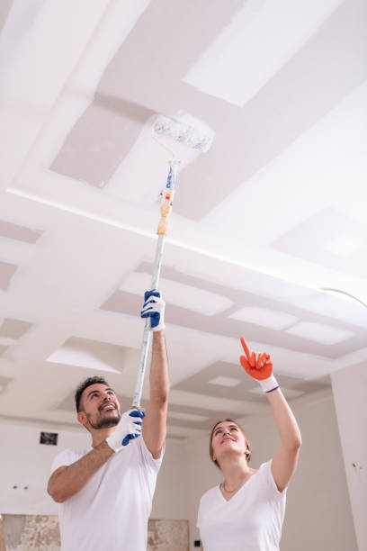 Best Comprehensive Air Testing for Mold Contaminants  in Chanute, KS