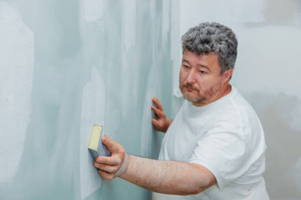Best Residential Mold Inspection & Testing  in Chanute, KS