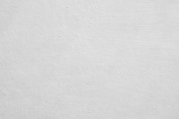 Best Mold Damage Restoration  in Chanute, KS
