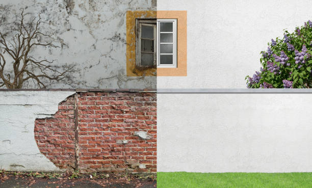 Best Environmental Consulting for Mold Prevention  in Chanute, KS