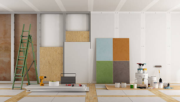 Best Emergency Mold Remediation  in Chanute, KS
