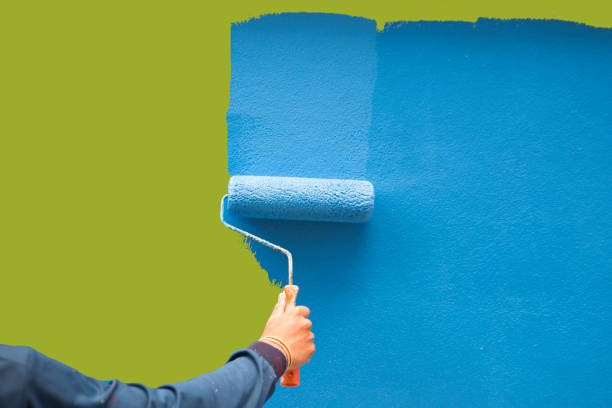 Best Attic Mold Removal  in Chanute, KS