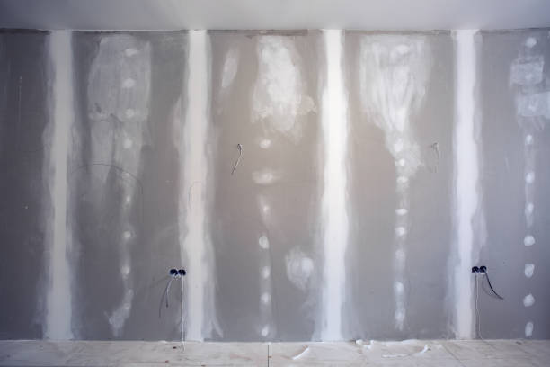 Mold Odor Removal Services in Chanute, KS