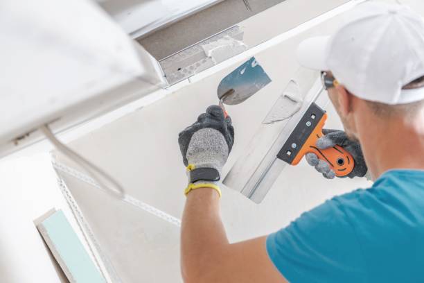Best Mold Prevention Services  in Chanute, KS